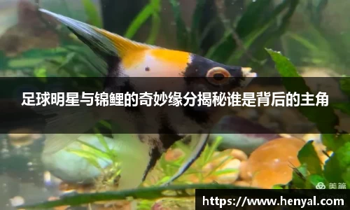 足球明星与锦鲤的奇妙缘分揭秘谁是背后的主角